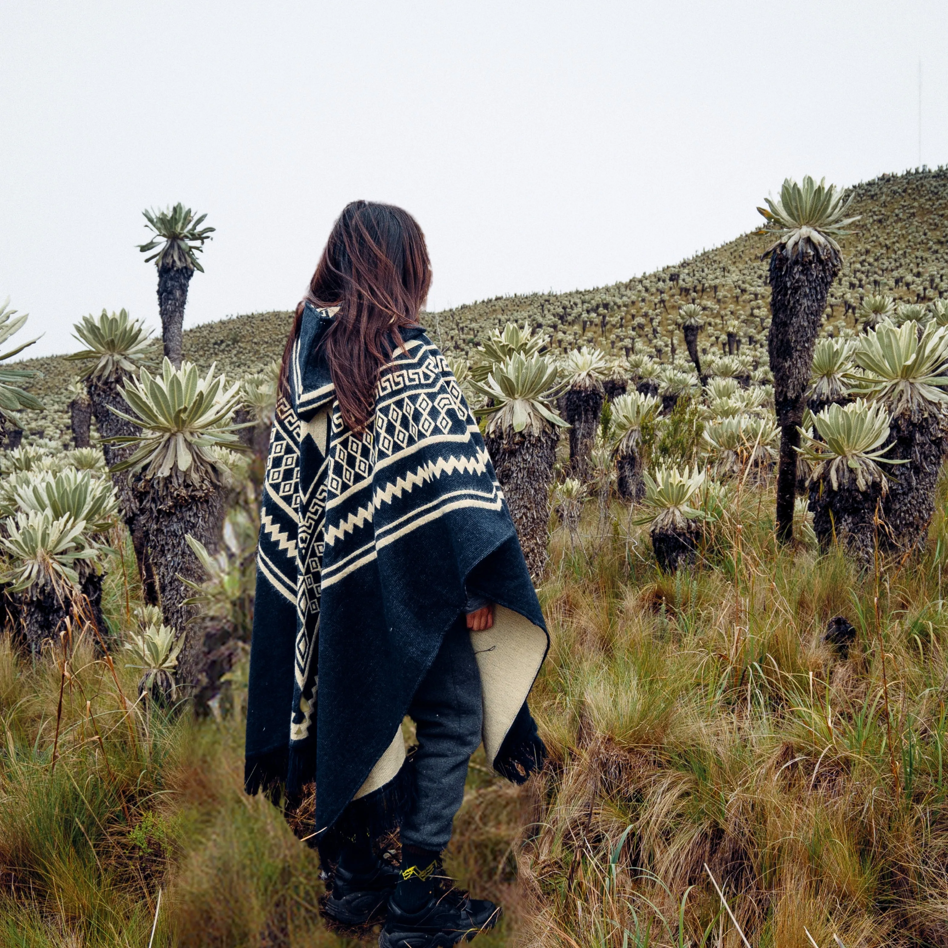 Acero - Dark Blue Poncho