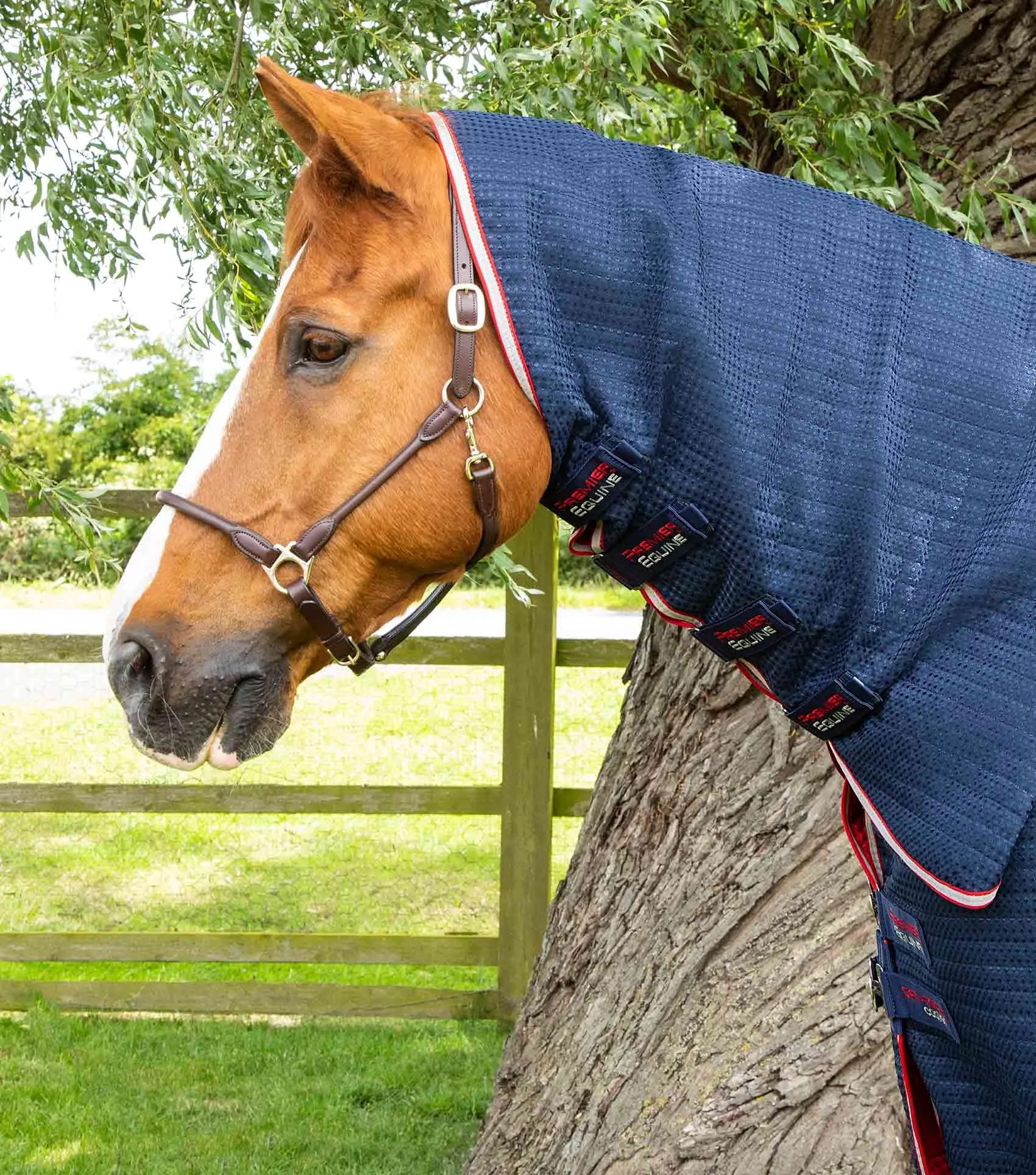 Combo Dry-Tech Horse Cooler Rug Navy