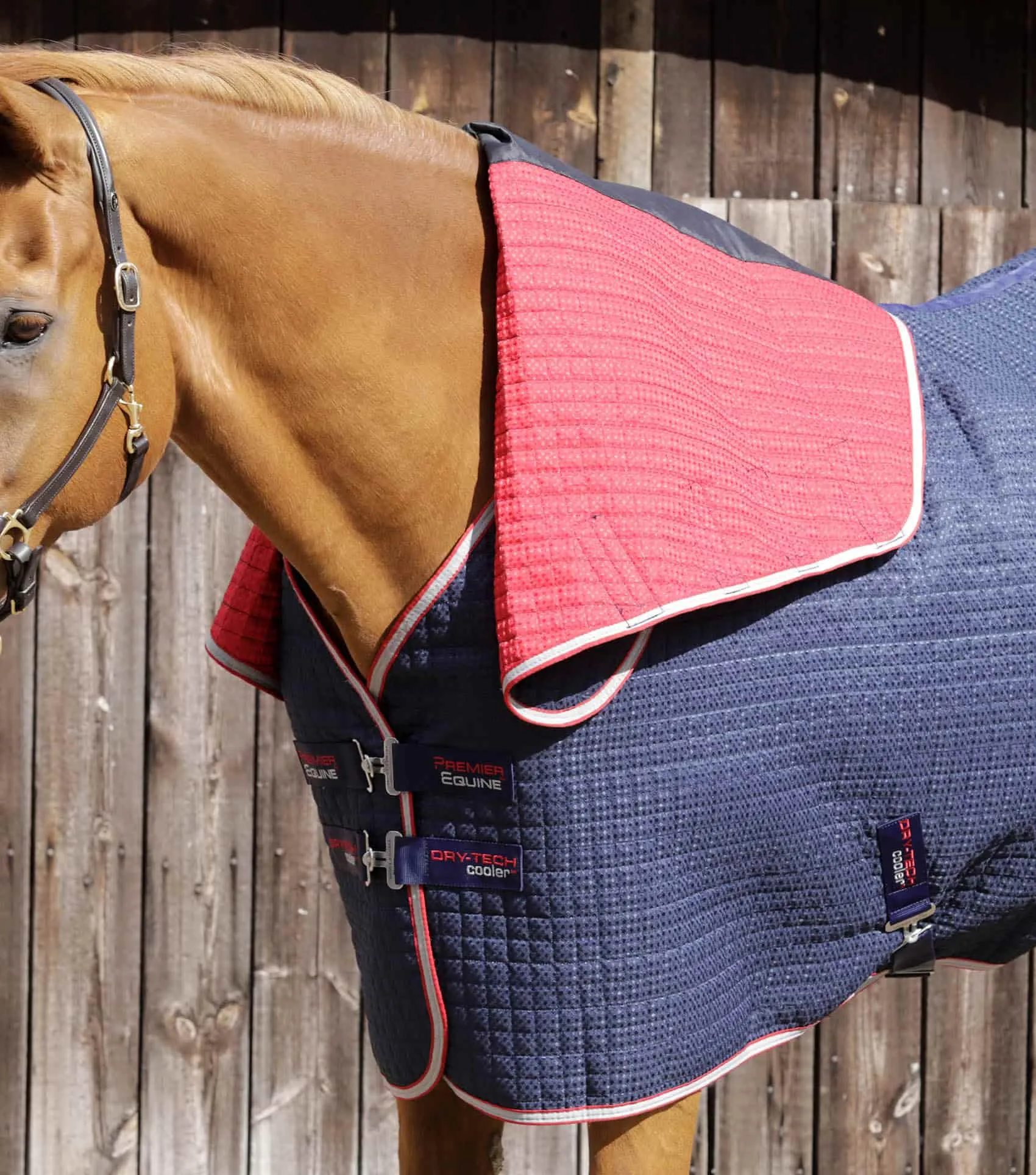 Combo Dry-Tech Horse Cooler Rug Navy