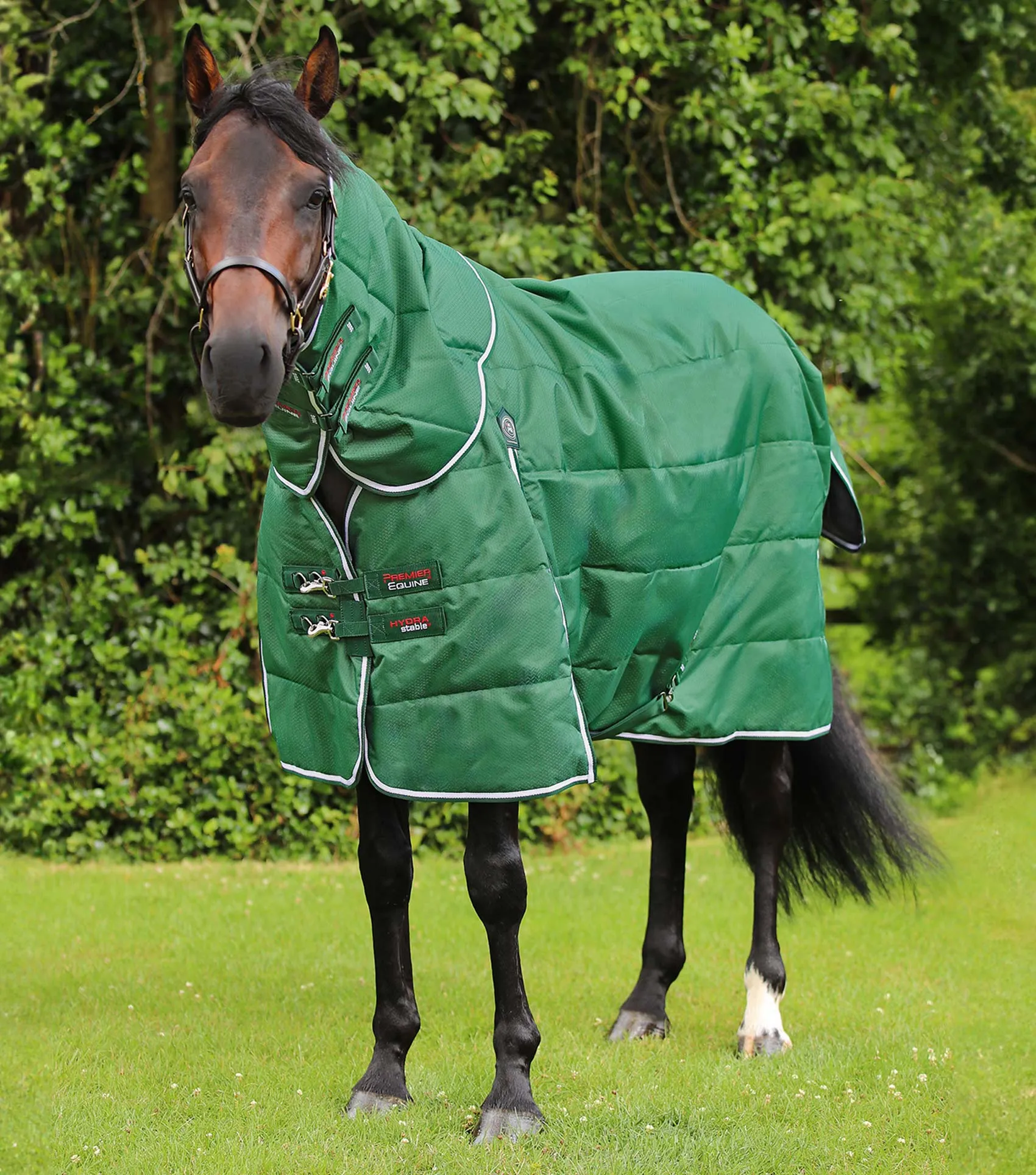 Hydra 200g Stable Rug with Neck Cover Green