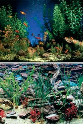 Penn Plax Background Aquarama/Shalscape 12" Tall (Sold by Ft.)