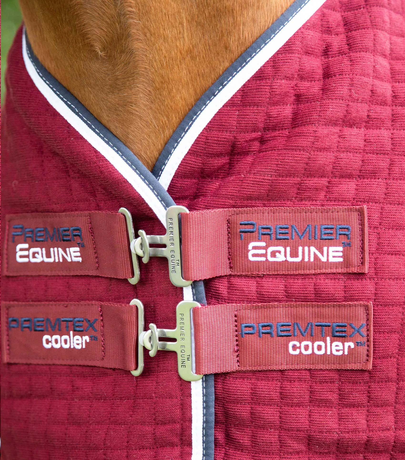 PremTex Horse Cooler Rug Burgundy