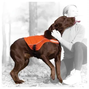 Reflect & Protect Dog Vest Sm