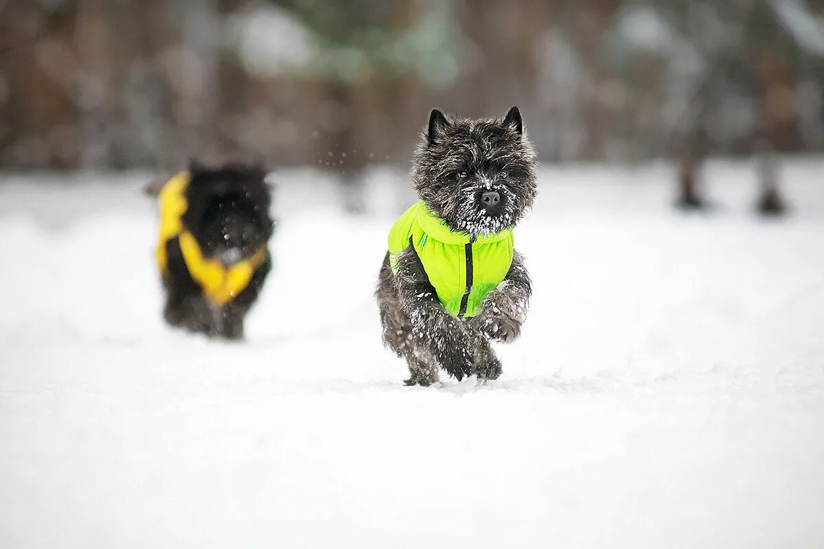 Reversible AiryVest in Light Green and Yellow (FINAL SALE)